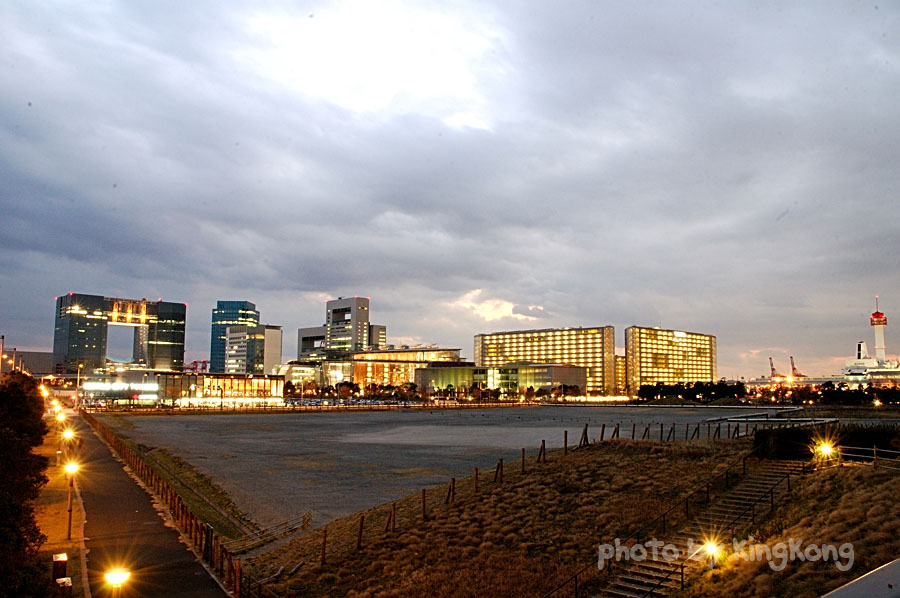Odaiba 71.jpg - Night Shot